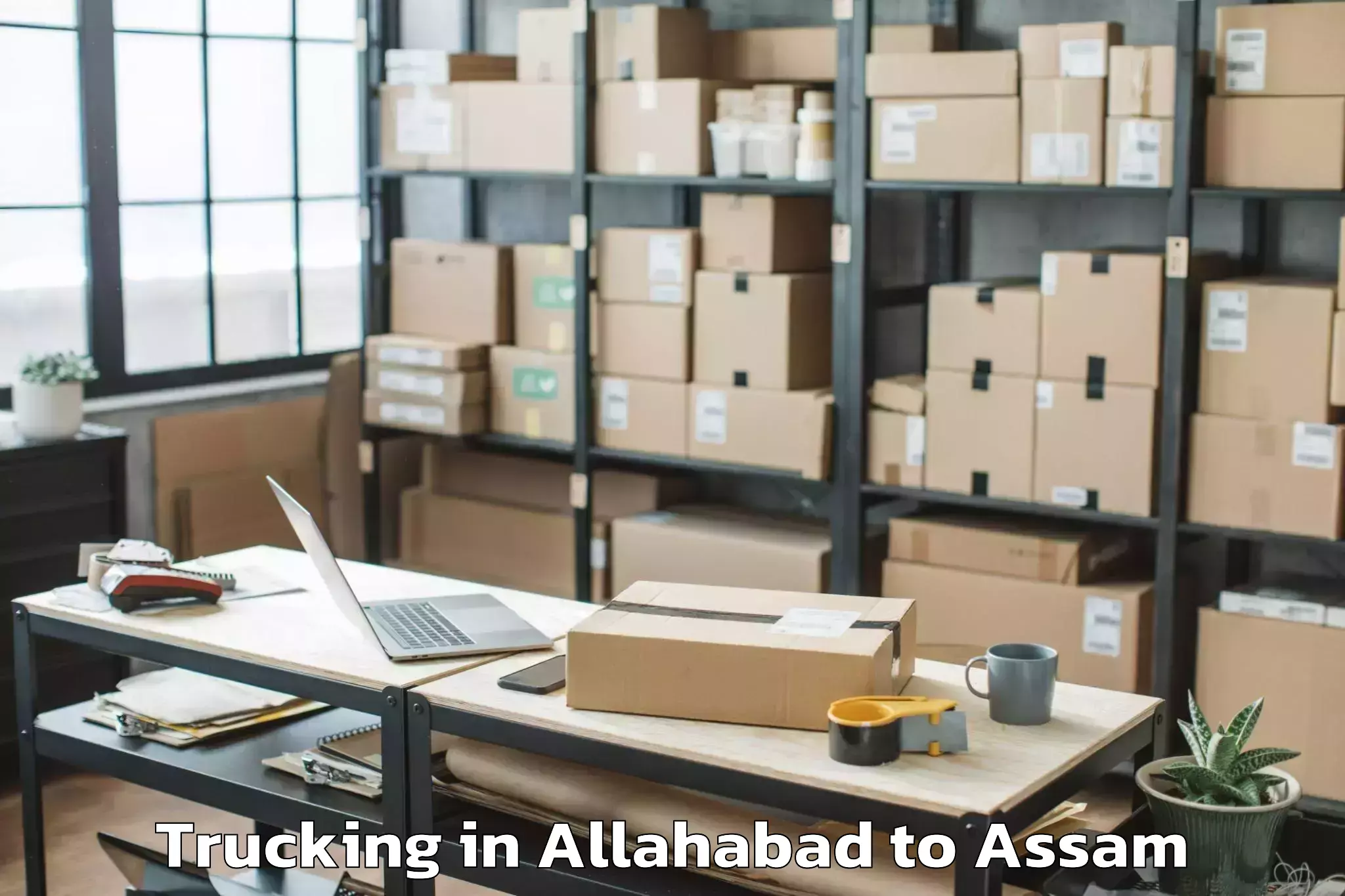 Hassle-Free Allahabad to Numaligarh Trucking